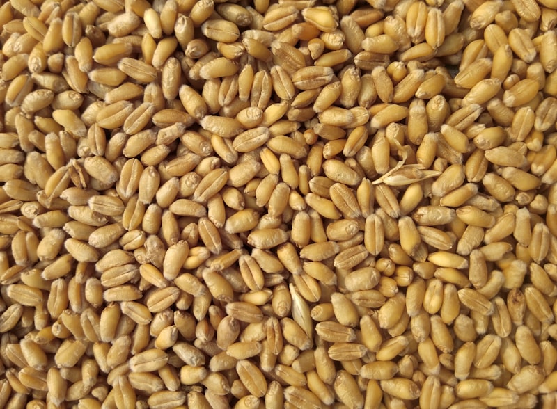 Agricultural Products exported from India